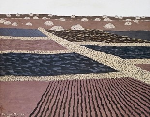Lanzarote. Tierras