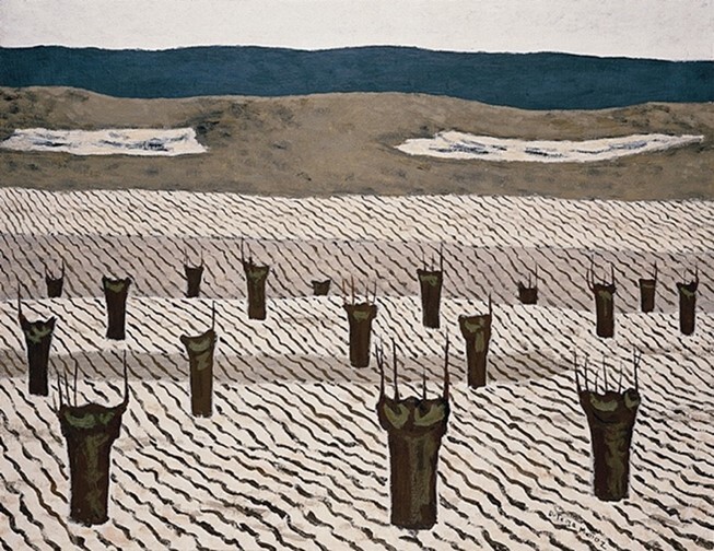 Tierras labradas