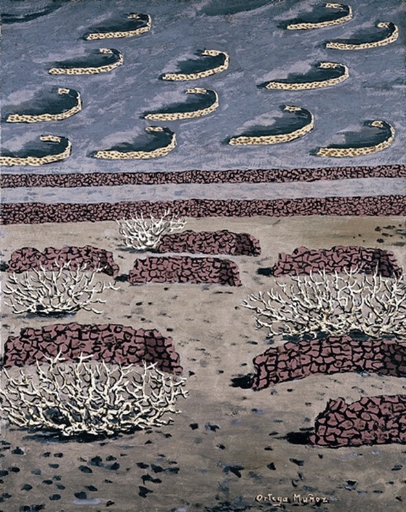 Lanzarote, higueras