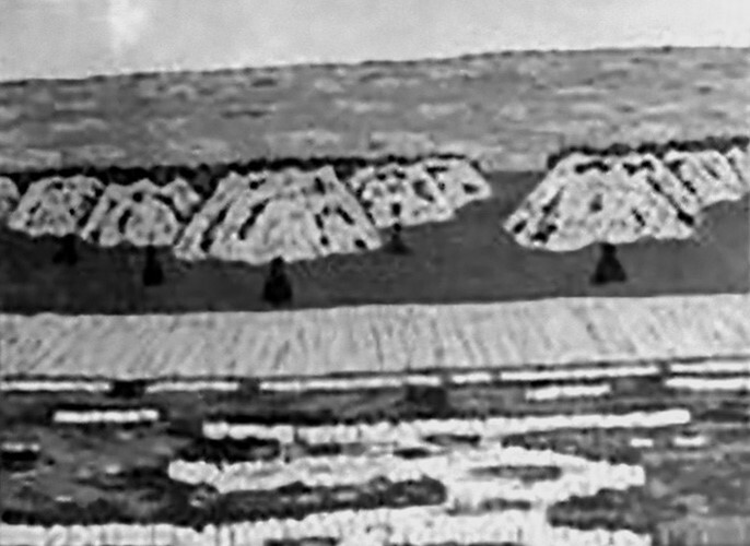 Rastrojos y olivos