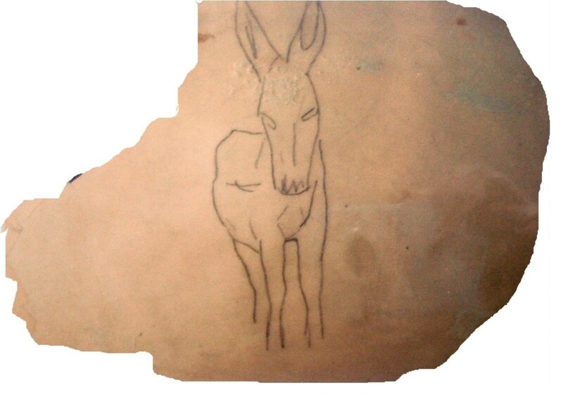 Burro