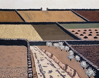 Tierras con retamas blancas