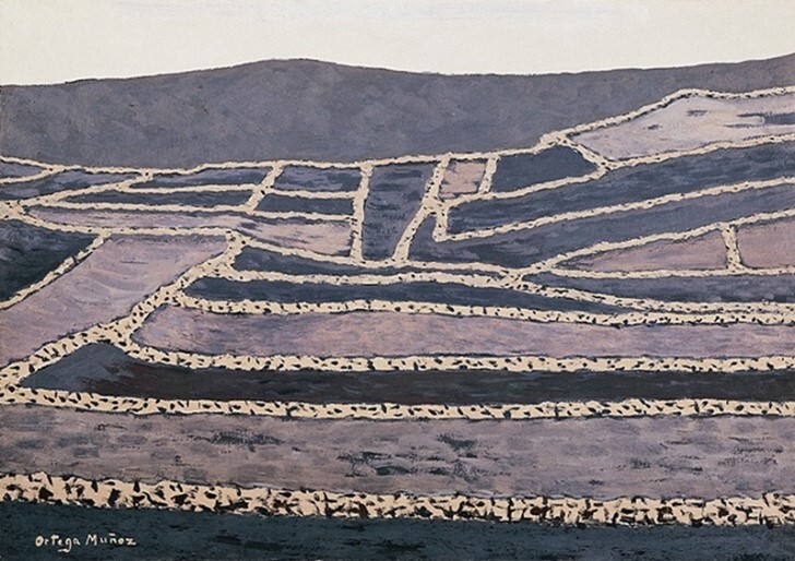 Campos de Lanzarote
