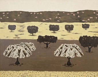 Olivos y encinas