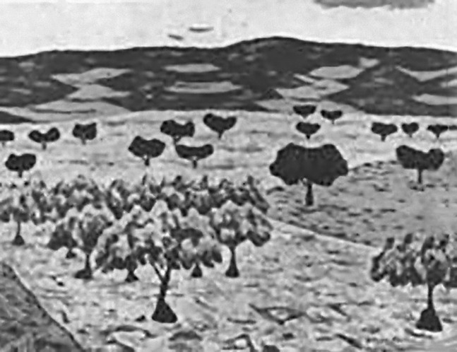 250
