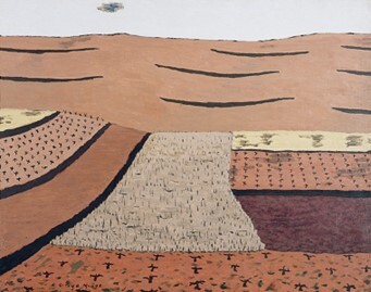 La Rioja. Viñas