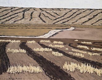 Rastrojos. Castilla