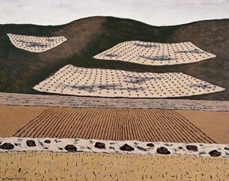 Viñas en la colina