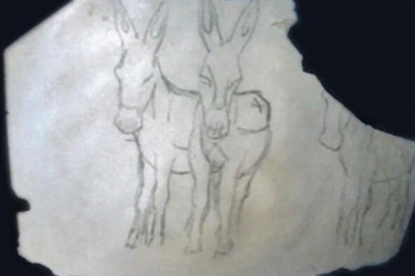Burros