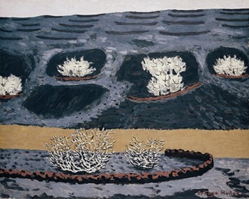 Lanzarote. Higueras