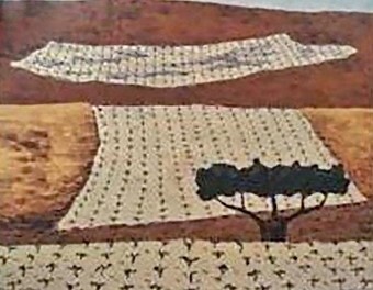 Paisaje con viñas