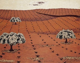 Viñas y olivos