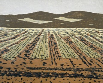 Tierras rojas, rastrojos